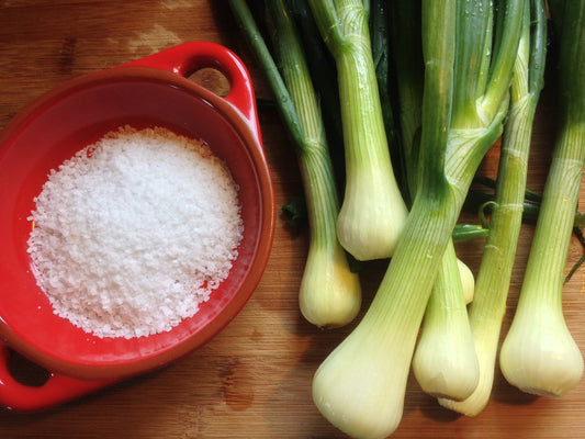 Recipe for Wagyu Meat: Green Onion Salt Sauce - PursuitFarms