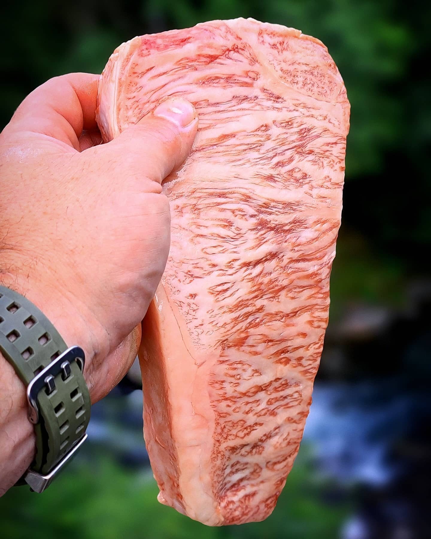 Signature "PURSUIT 100,000" Wagyu Party Collection Package - PursuitFarms