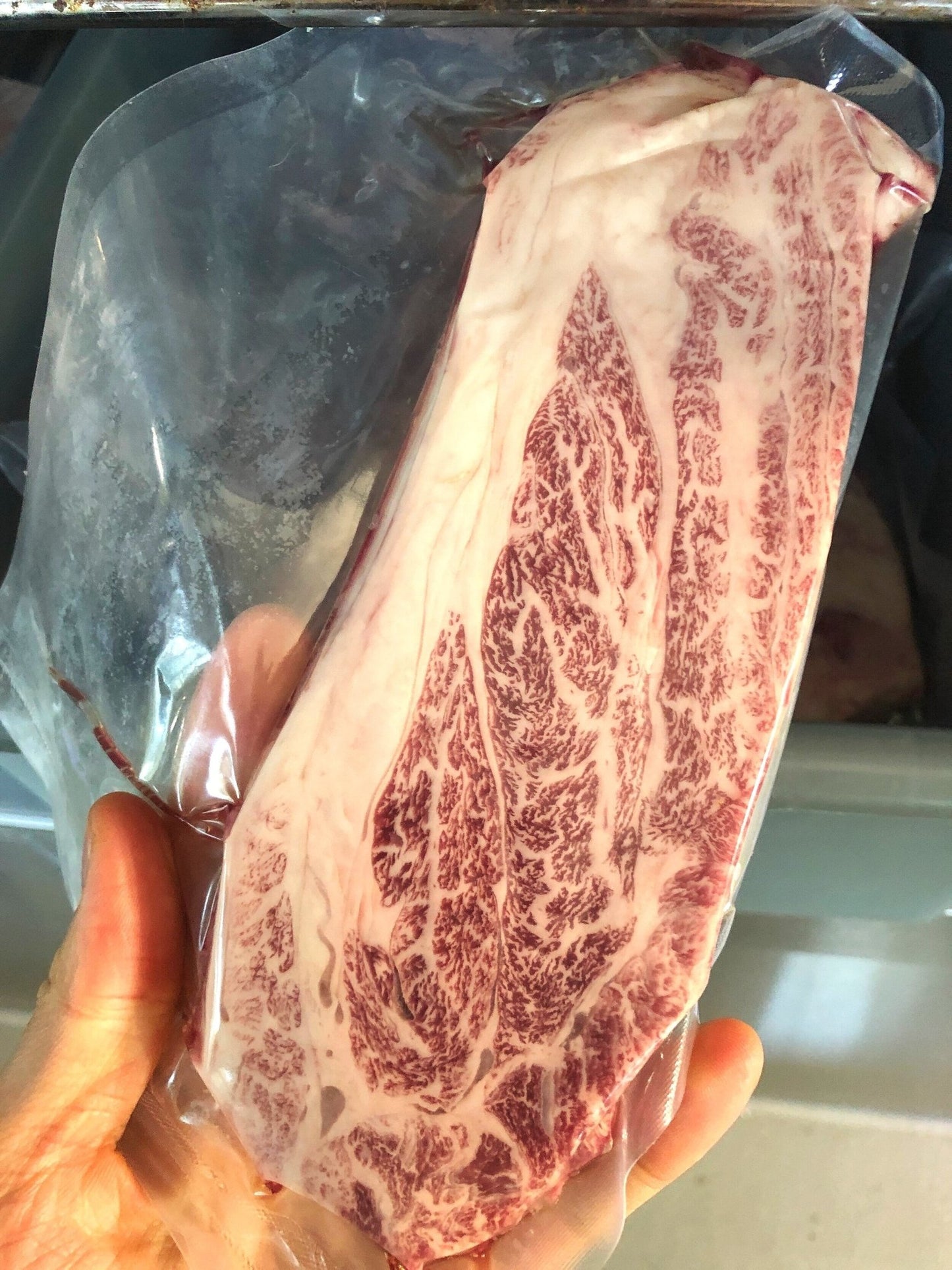 Chuck Wagyu blocks 3pounds (6 x 8oz) - PursuitFarms