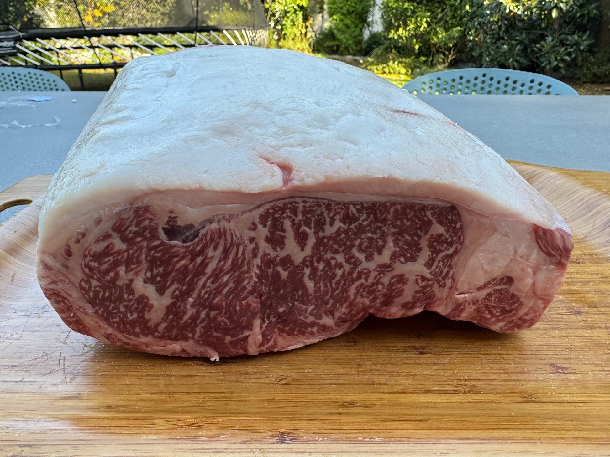 Herb Beef "Prime Rib" or "Strip" Holiday Roast (5+ pounds) - PursuitFarms