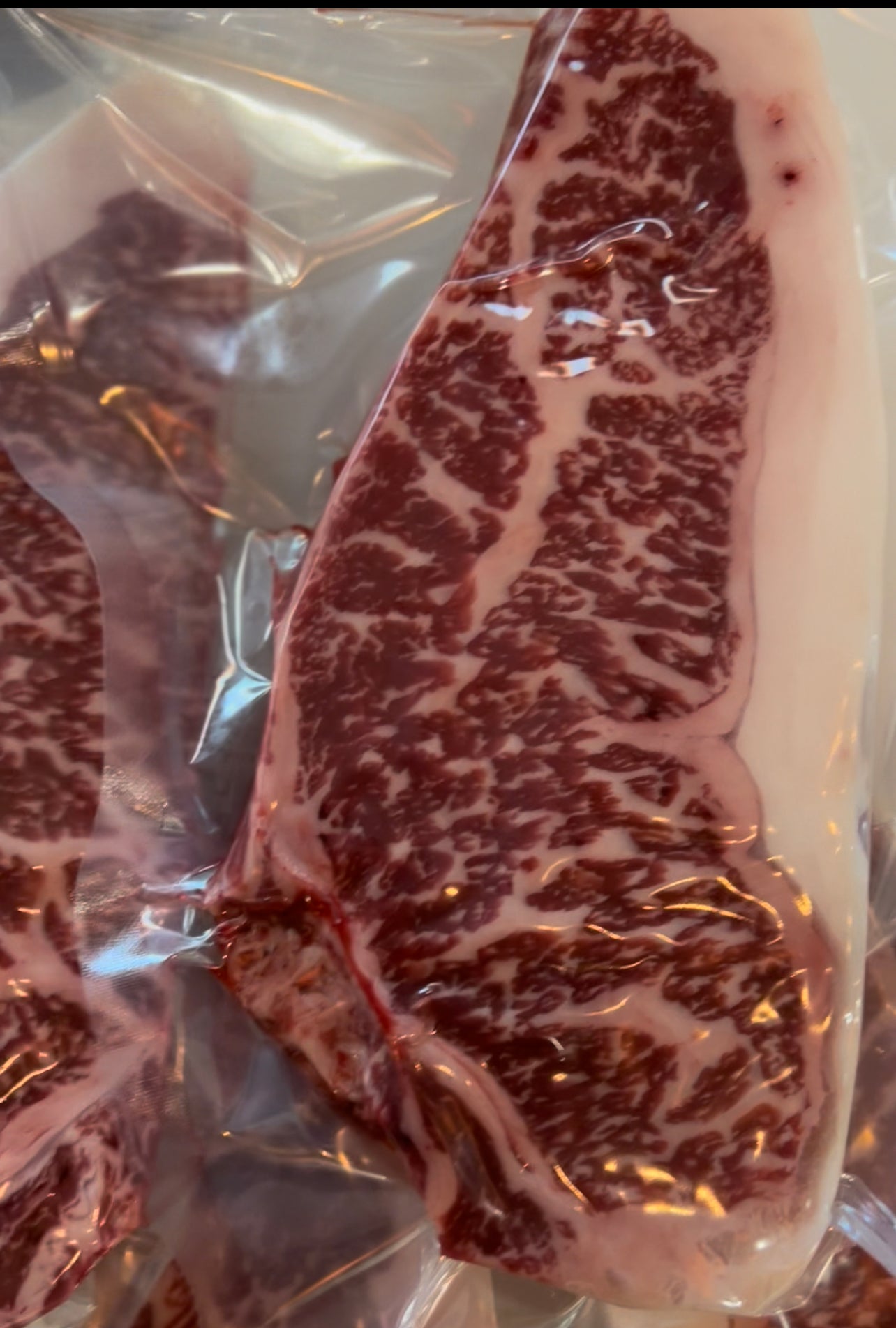 JapaneseX Medium Fatty by PursuitFarms (NEW!) - PursuitFarms