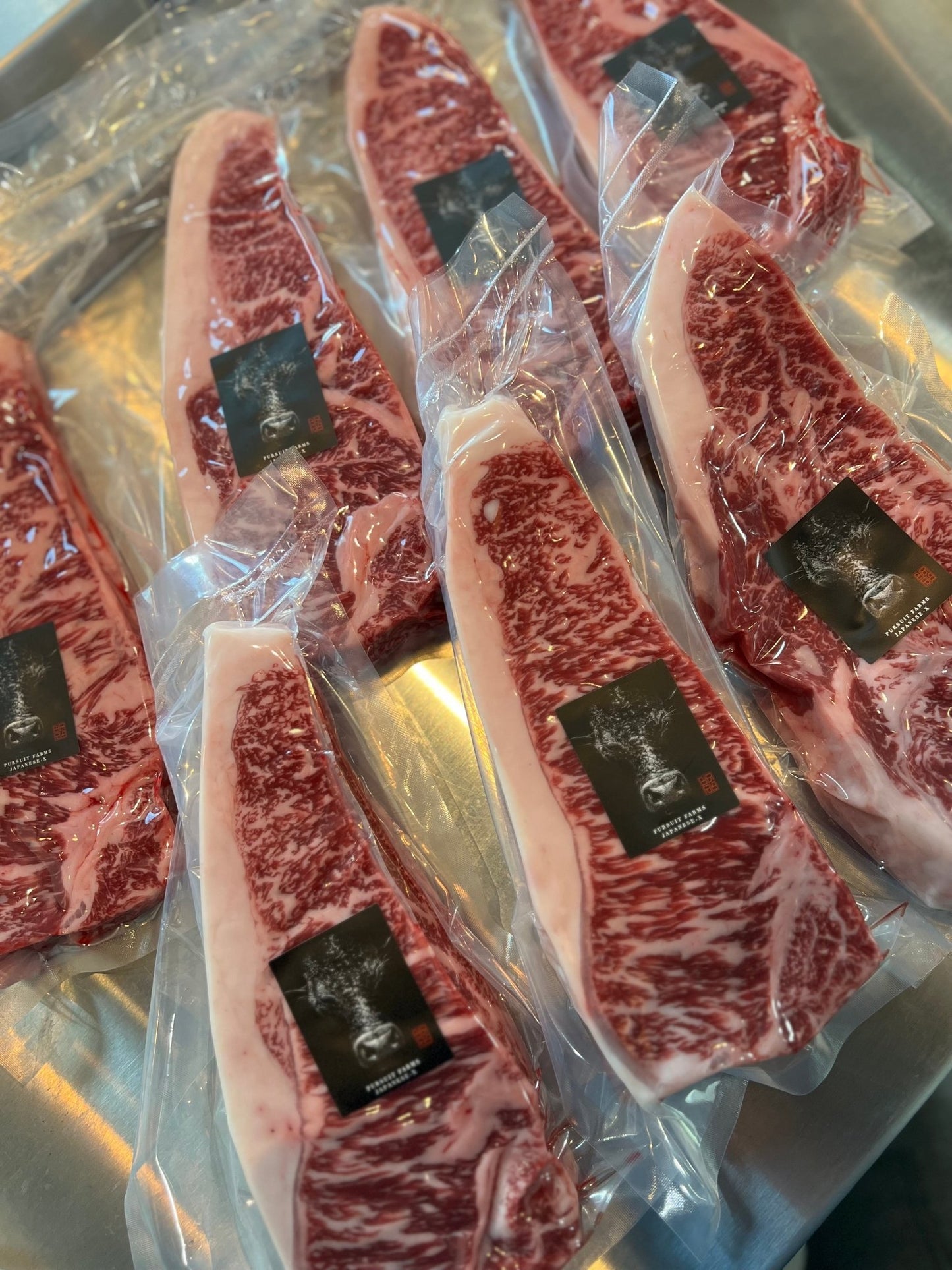 JapaneseX Medium Fatty by PursuitFarms (NEW!) - PursuitFarms
