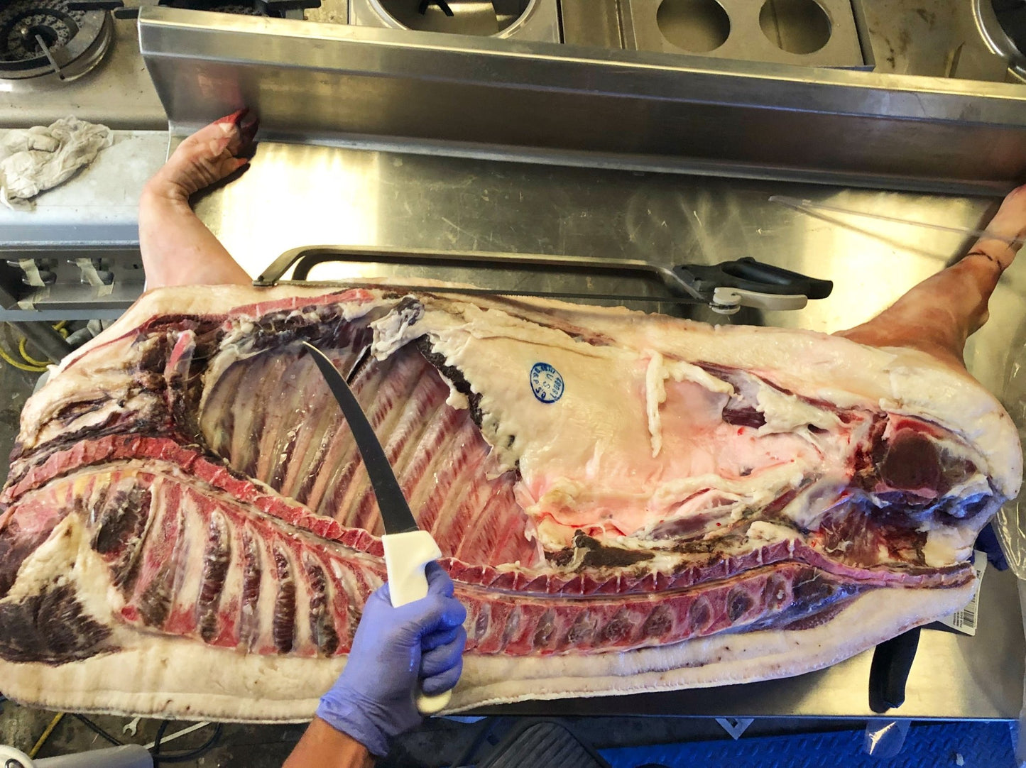 NEW! Pursuit Farms Nut-Fed Mangalitsa Shares (1/4, 1/2, & whole hog shares) - Reserve - PursuitFarms