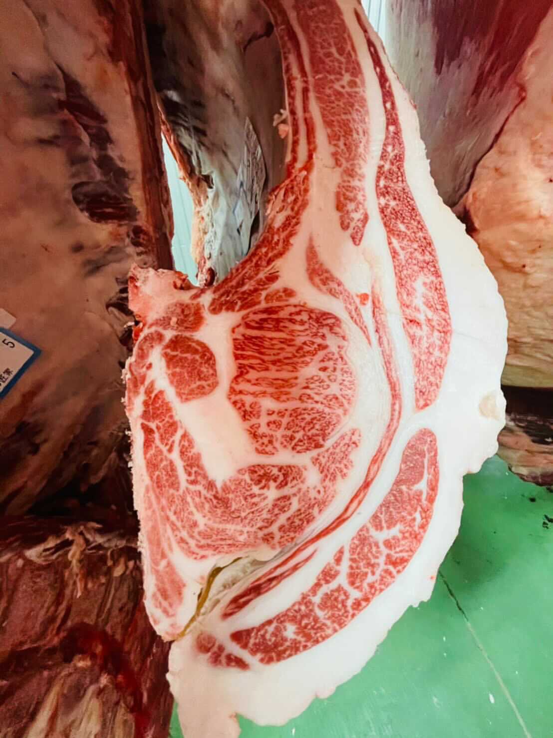 Pursuit Farms Exclusive: Female Wagyu Strip (2 x 12 oz.) - THICK Cut - FRESH - PursuitFarms