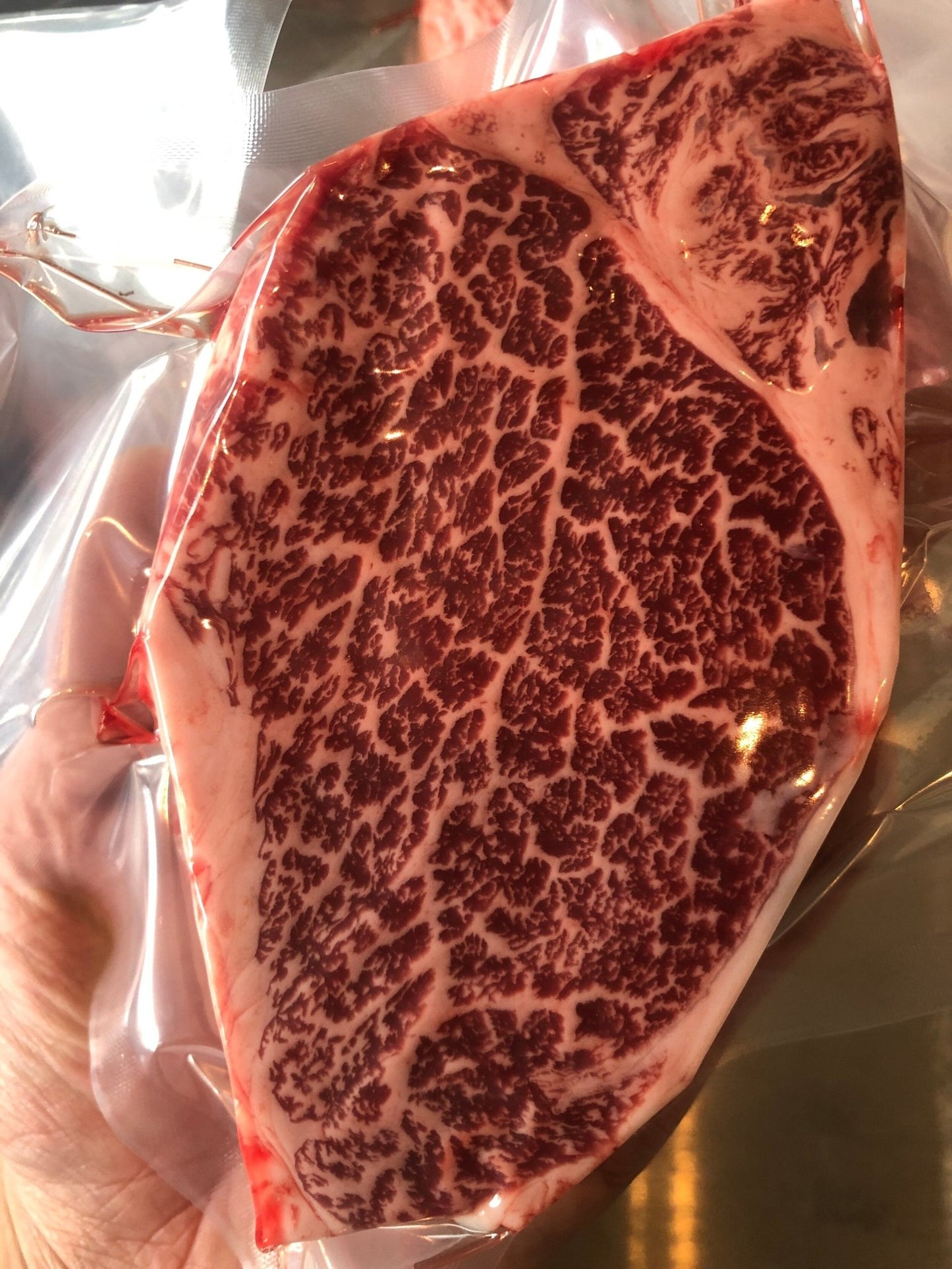 Shichiri Wagyu Tenderloin (Best Farm from Hida) - PursuitFarms
