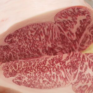 HOW MUCH WAGYU BEEF IS ENOUGH? (OF THE A5 VARIETY) - PursuitFarms