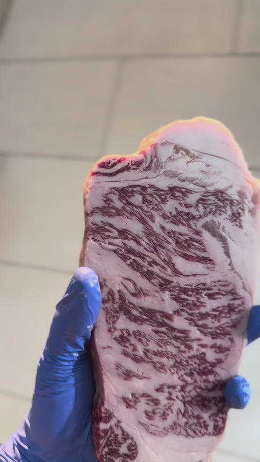Unique High Bms 12 Wagyu Angus Cross