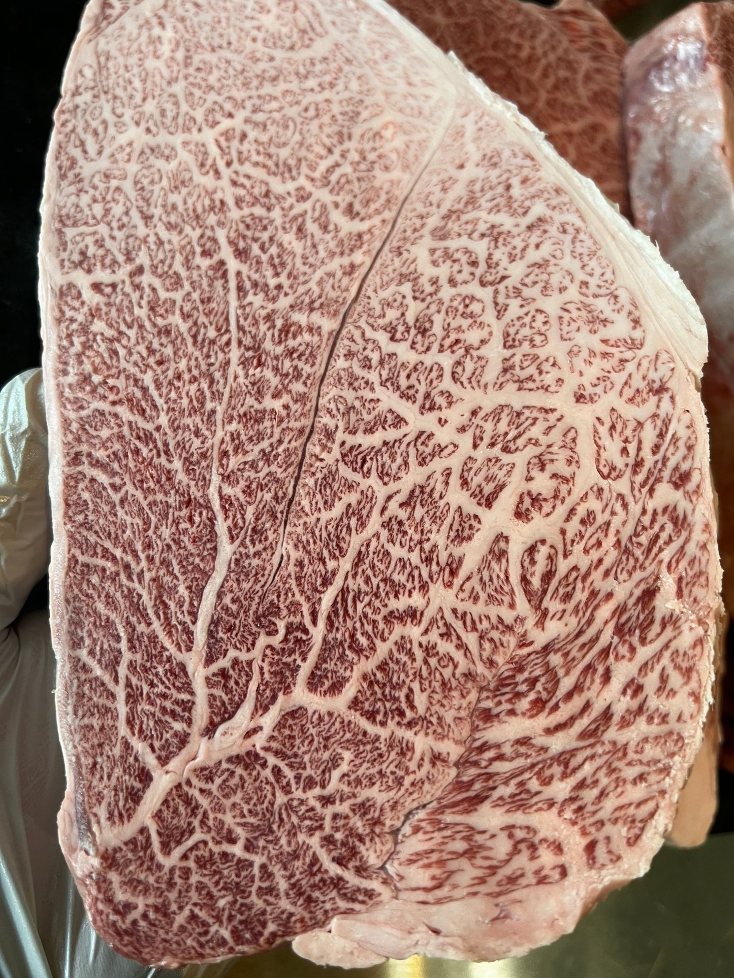 Shoulder cut, female Wagyu BMS 10 - PursuitFarms