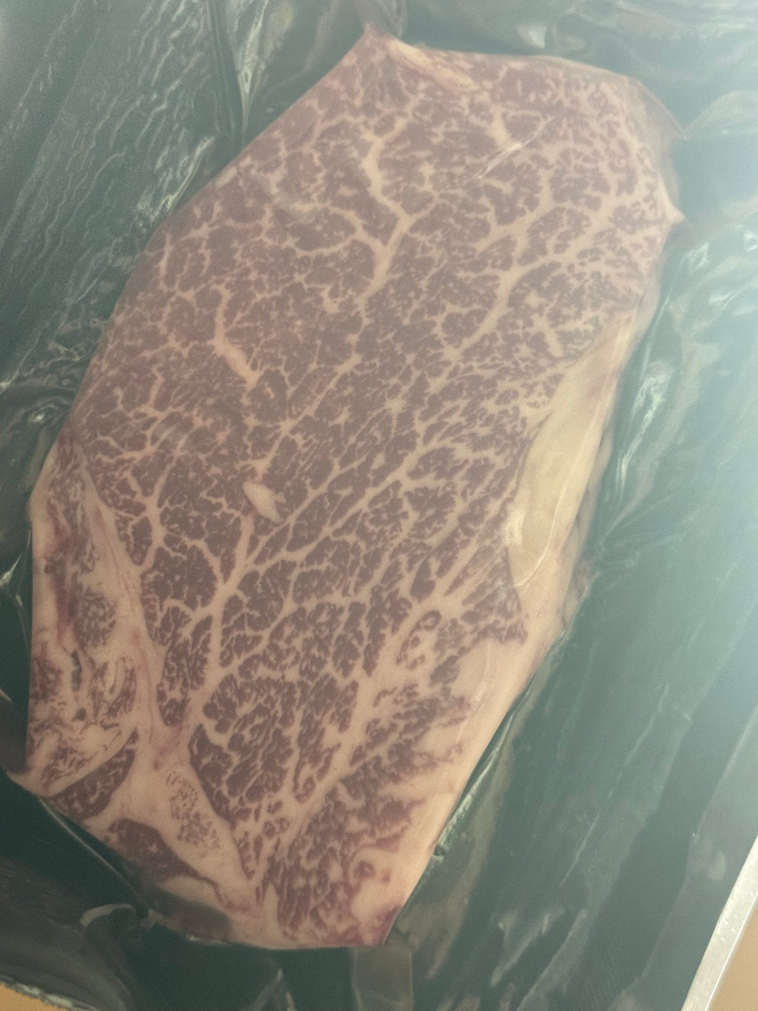 ULTRA PREMIUM CERTIFIED Kobe Beef Tenderloin/Filet/or Chateaubriand - JAPANESE style trimmed (1 x 5oz) - PursuitFarms