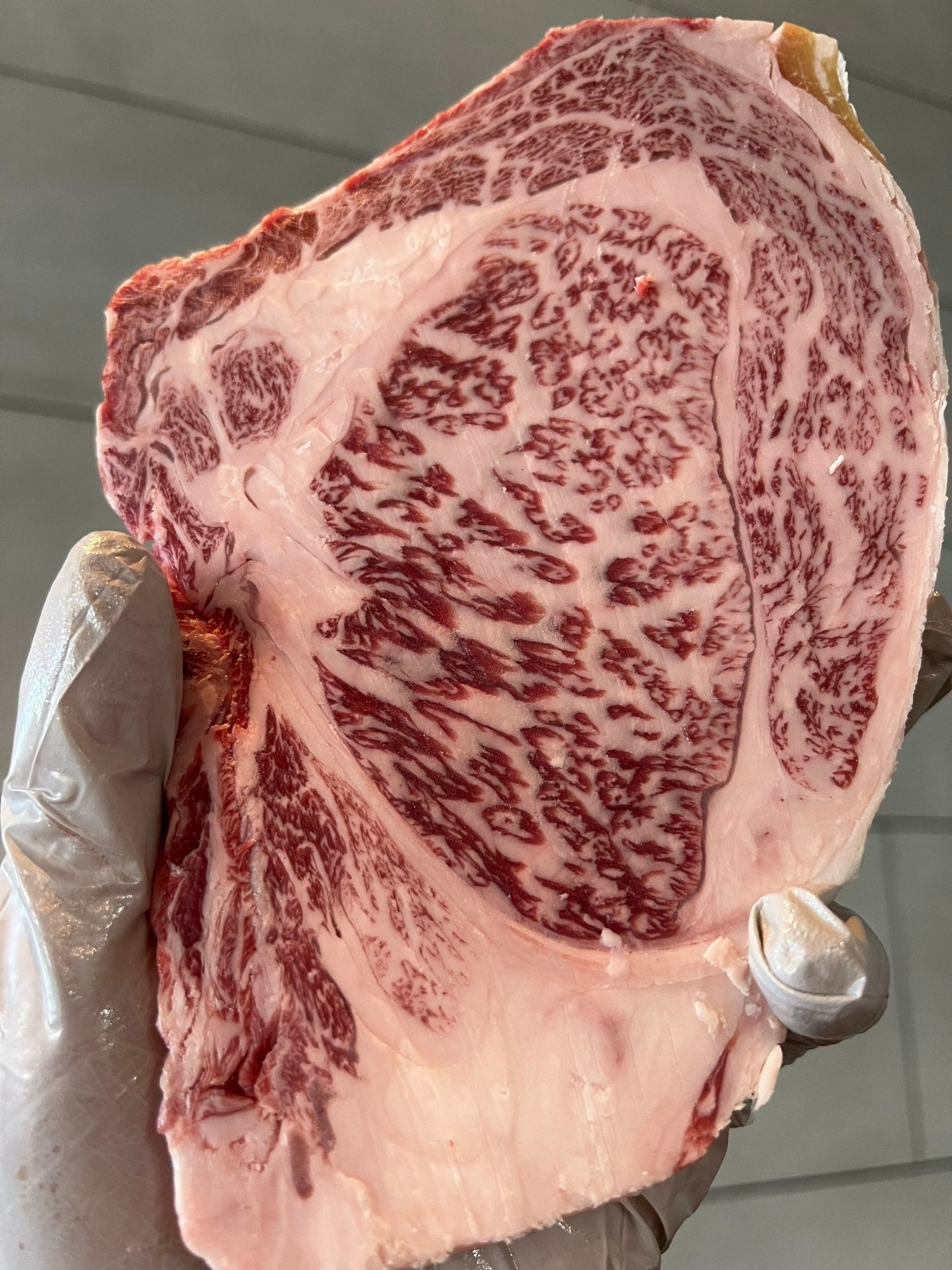 MRS. Wagyu. (8 Year aged Cattle) available dry aged - PursuitFarms