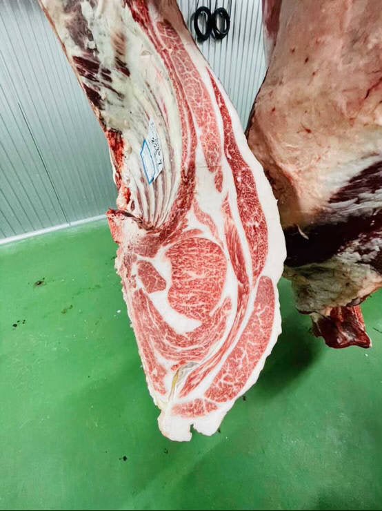 https://pursuitfarms.com/cdn/shop/products/pursuit-farms-exclusive-female-wagyu-strip-2-x-12-oz-thick-cut-fresh-385429.jpg?v=1693169848